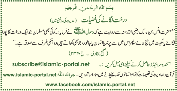 Darakhat Laganae Ki Fazeela (Hadeeth Ki Roshni Mane)