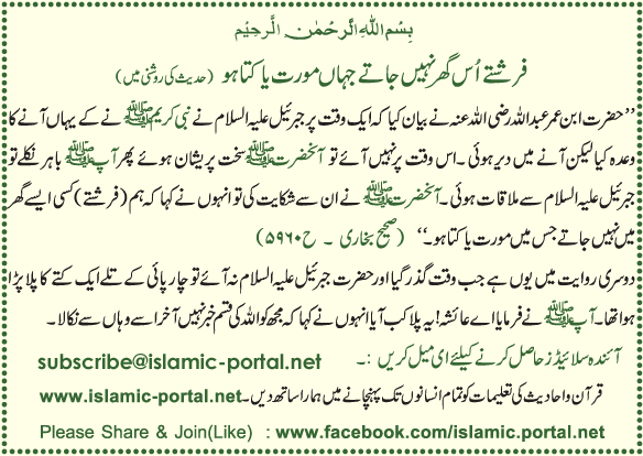 Farishte Us Ghar Nahi Jate Jahan Morat ya Kuta Ho (Hadeeth Ki Roshni Mane)