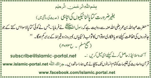 Bila Zarorat Kuta Palna, Nekion  Ki Tabahi (Haddeth Ki Roshni Mane)