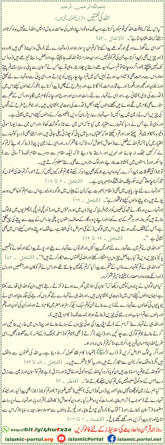 Quranic verses about Allah’s blessings, provision, nature, animals, rain, and signs encouraging gratitude and reflection