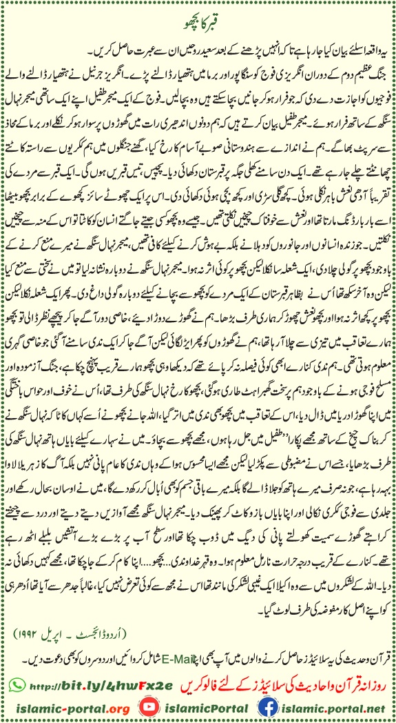 قبر کا بچھو